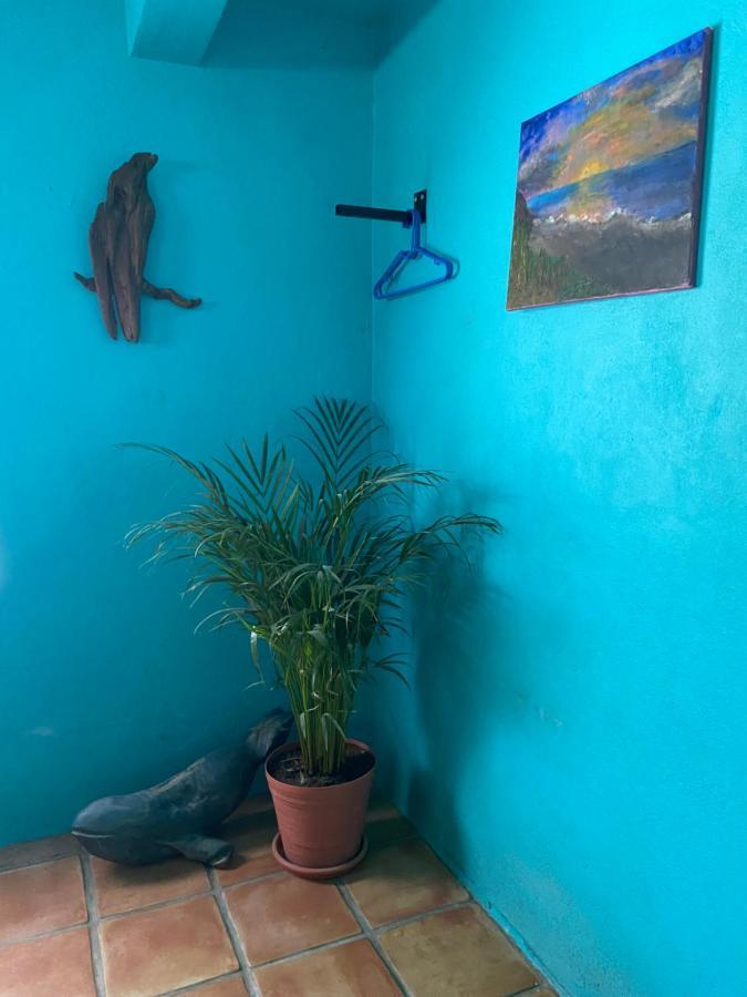Bed and Breakfast Casa Xochitl El Centenario Zewnętrze zdjęcie